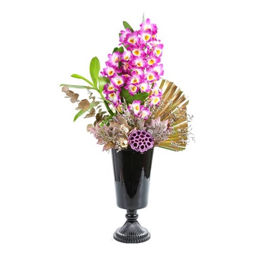 Black Of Dendrobium