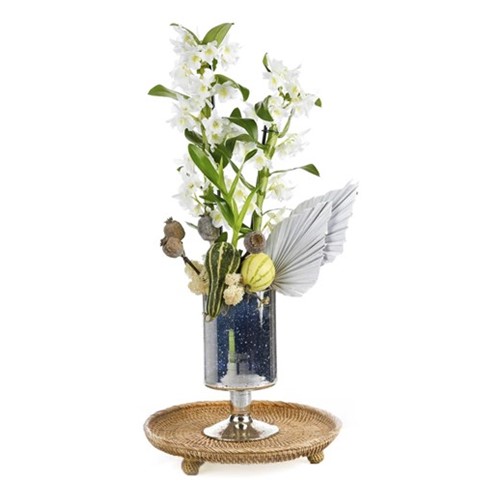Bliss White Dendrobium Orchid