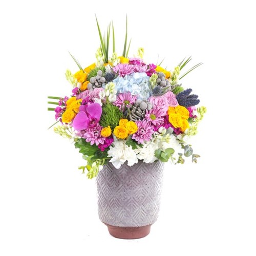 Bloom Carnival Premium Aranjman