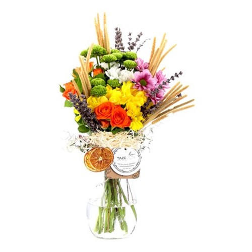 Bloomsy Deluxe Daisy Papatya