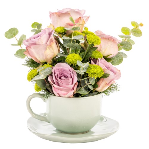 Bloomy Cup Lila Güler