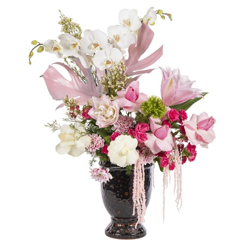 Blossom Charm Orkide Aranjmanı