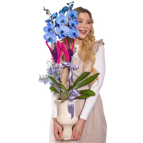 Blue Dream Mavi Orkide