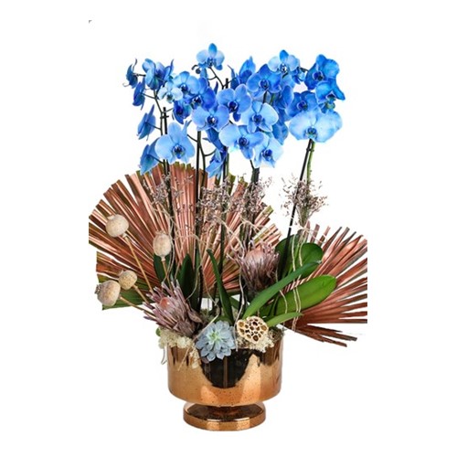 Blue Orchid In Gold Vase
