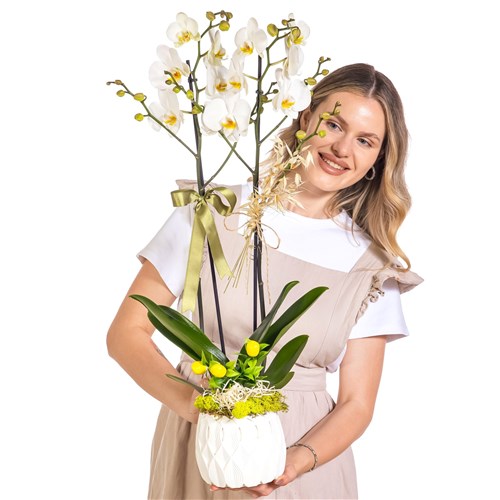 Botanical Ivory Seramikte Orkide