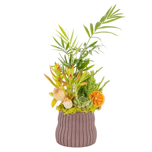 Botanical Mix Areka Aranjmanı