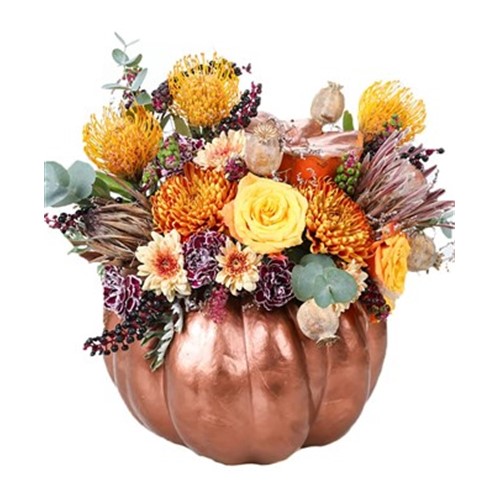Bronze Pumpkin Show