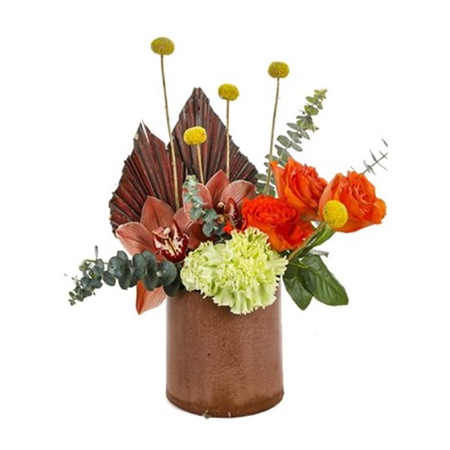 Brown+Love+Orchid
