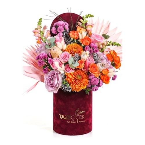Burgundy Effect Of Orange