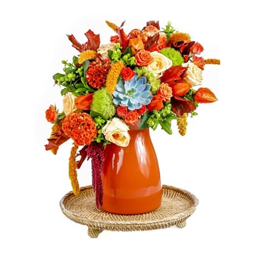 Candy Orange Cream