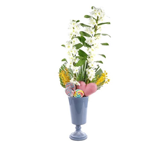 Candy White Dendrobium