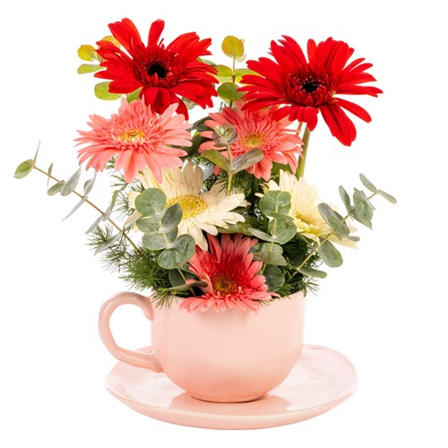 Cheerful Bloom Gerbera Aranjmanı
