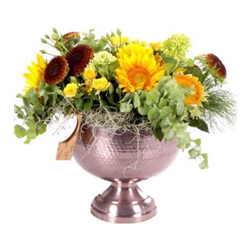 Cheerful Sunflowers