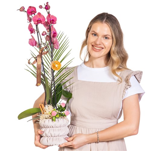 Cinnamon Blush Seramikte Orkide