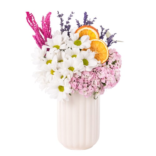 Citrus Bloom Delight Papatyalar