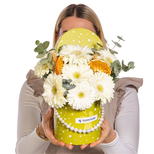 Citrus Bloom Gerbera Box