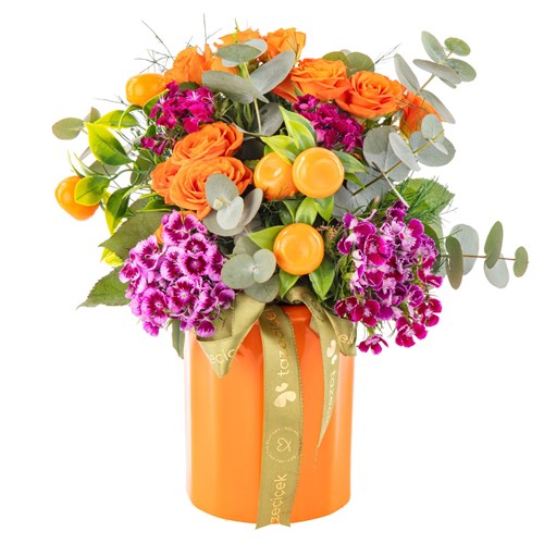 Citrus Bloom Turuncu Güller
