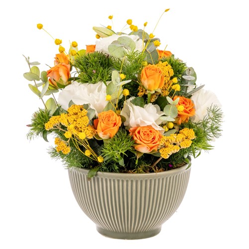 Citrus Glow Gül Kasesi