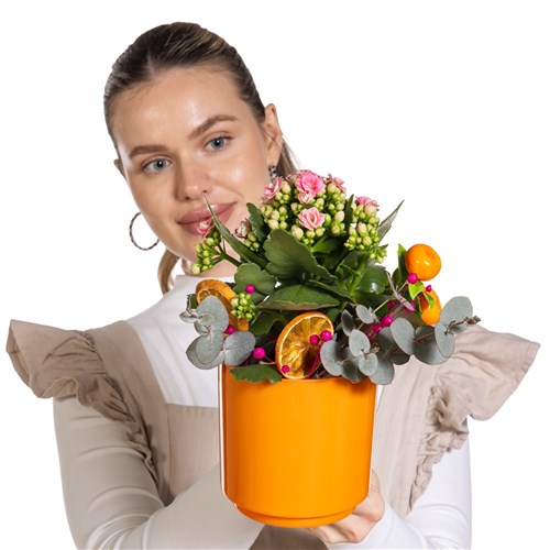 Citrus Joy Kalanchoe Aranjmanı