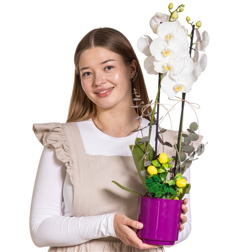 Citrus Pearl Çift Dallı Beyaz Orkide