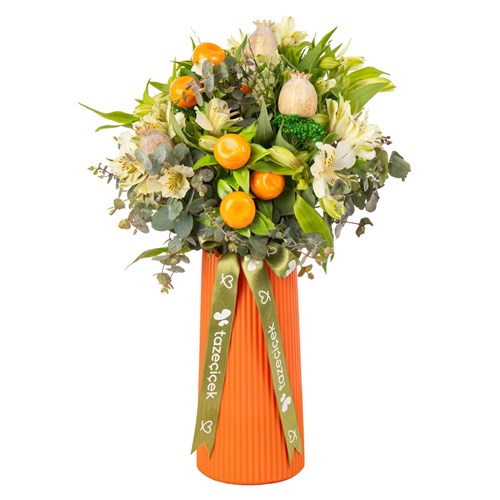 Citrus Punch Astomerya Vazosu