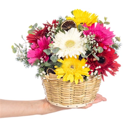 Color Beats Gerbera Sepeti