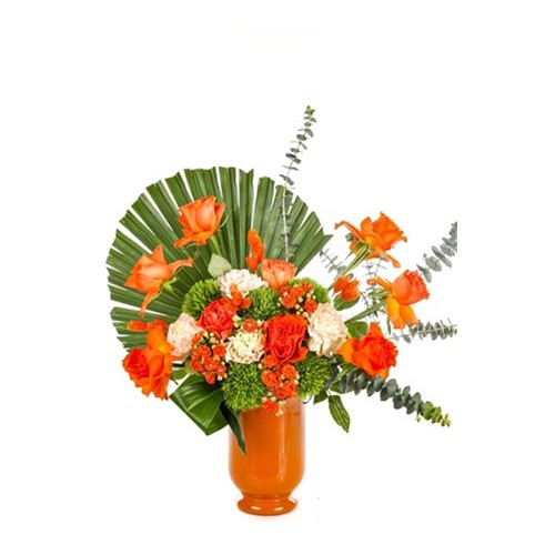 Cool Orange Rose