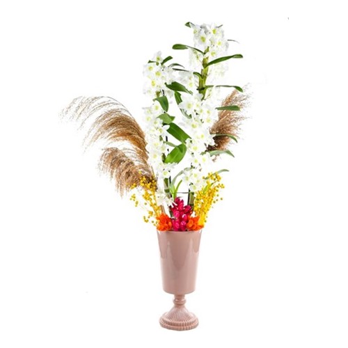 Cool Orchid