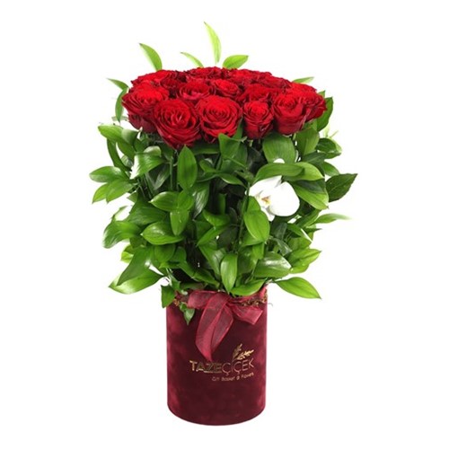 Cool Red Love