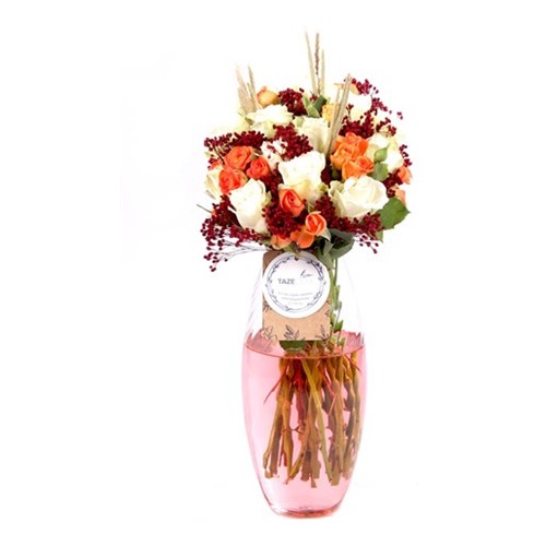 Coral Charm
