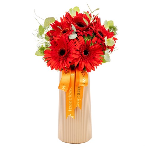 Crimson Flame Kırmızı Gerbera Vazosu