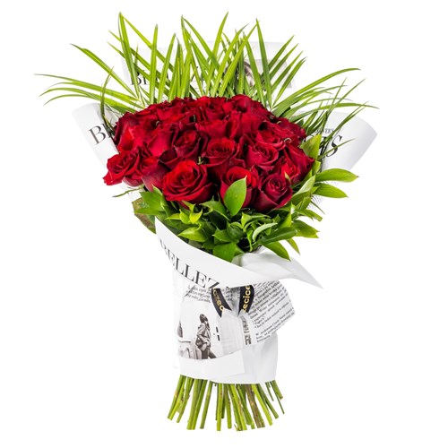 Crimson Romance Roses