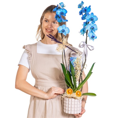 Crystal Blue Seramikte Orkide