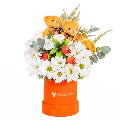 Daisy Together Ayıcıklı Papatya Bahçesi