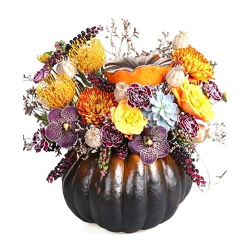 Dark Pumpkin In Orange Flowers