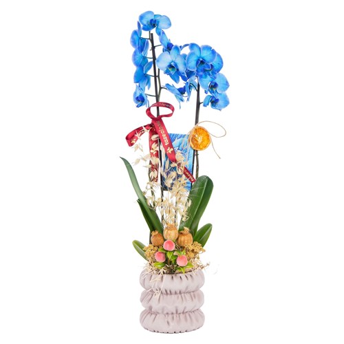 Deep Sapphire Seramikte Orkide