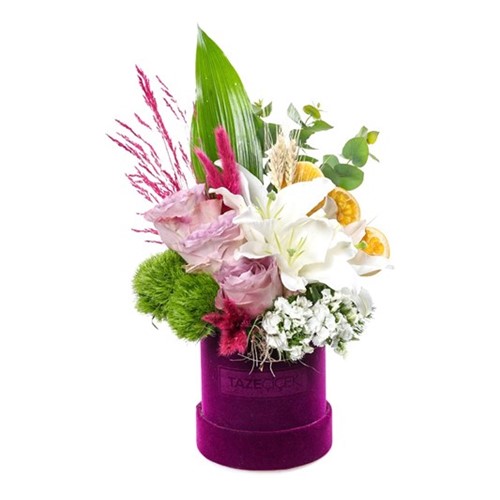 Delicate Purple Flower