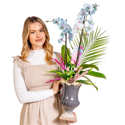 Delicate Sky Orchid Chic Vase Aranjman
