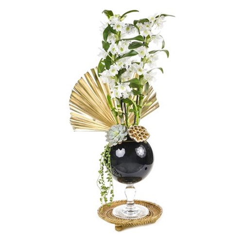 Dendrobium Of Black