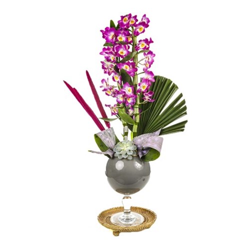 Dendrobium Of Grey