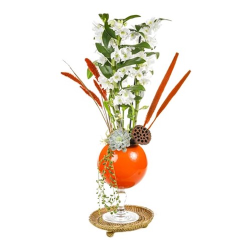 Dendrobium Of Orange
