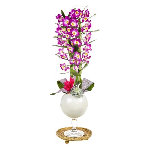 Dendrobium Of White
