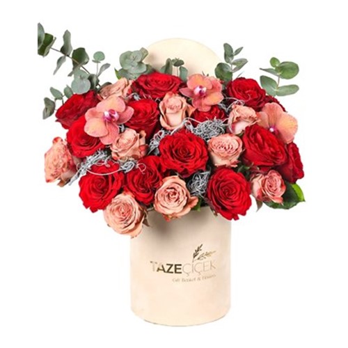 Egypt Tone Roses