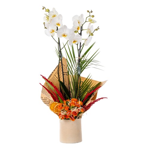 Elegant Bloom 2 Dal Beyaz Orkide