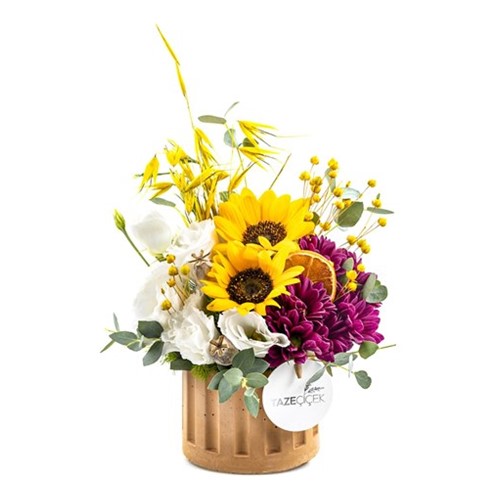 Elegant Sunflower