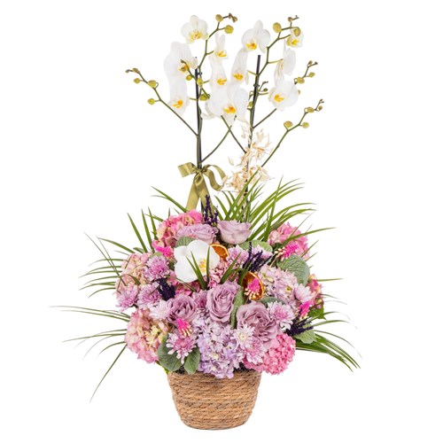 Ethereal Zen Premium Orkide Sepeti