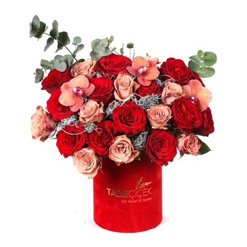 Fire Color Tone Roses