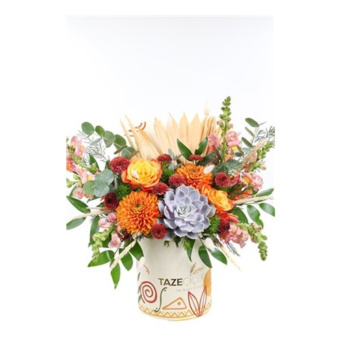 Forest Orange Box