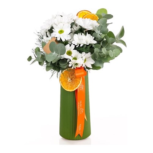 Fresh Daisy Beyaz Papatyalar