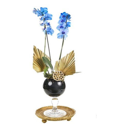 Gold Piece Mavi Orkide